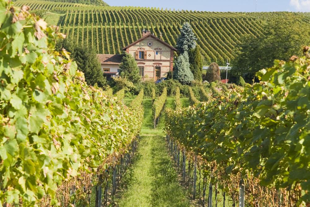 Kaiserstuhl, bezienswaardigheden in Baden-Württemberg