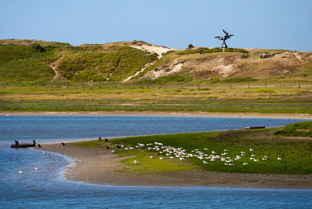 Natuurgebied het Zwin, Cadzand