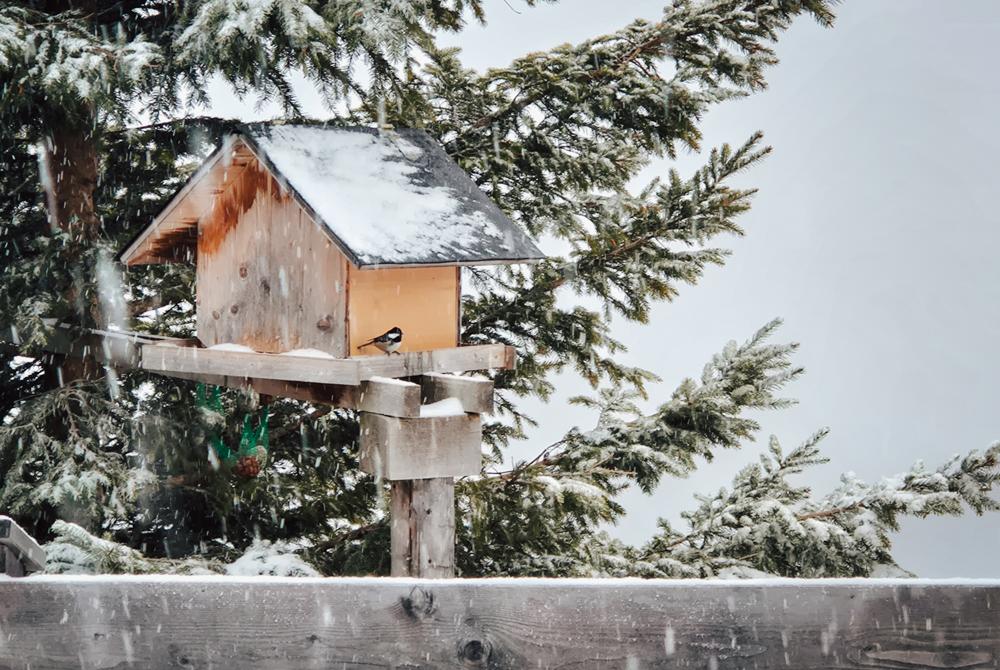 Sneeuw, Landal Katschberg