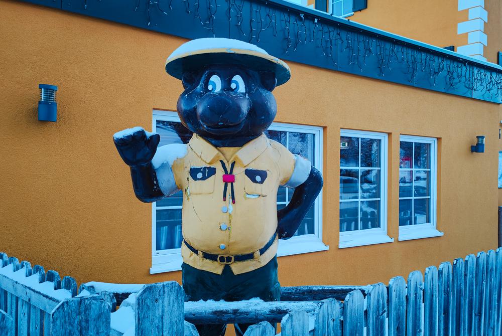 Bollo op Landal Katschberg