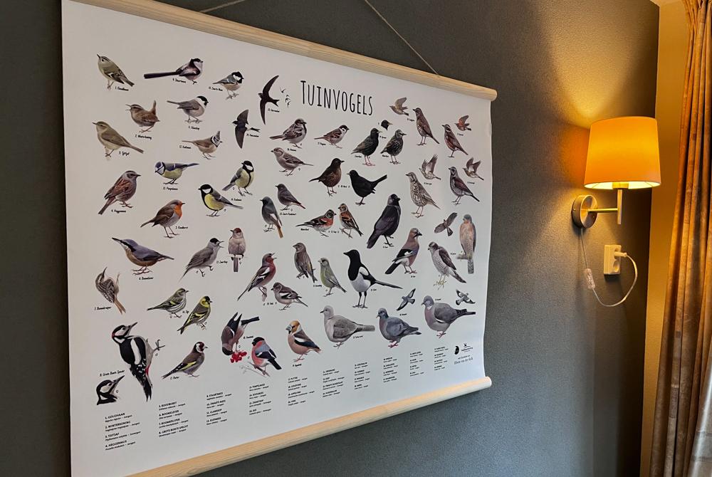 Vogels op Villapark Eureka