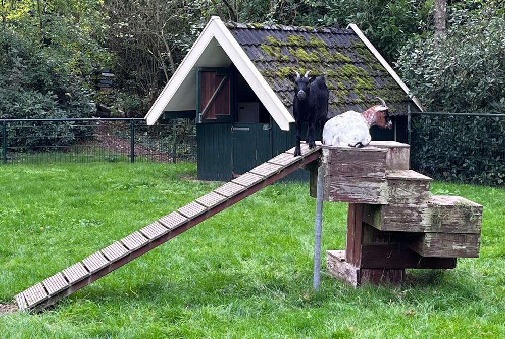 Kinderboerderij, Villapark Eureka