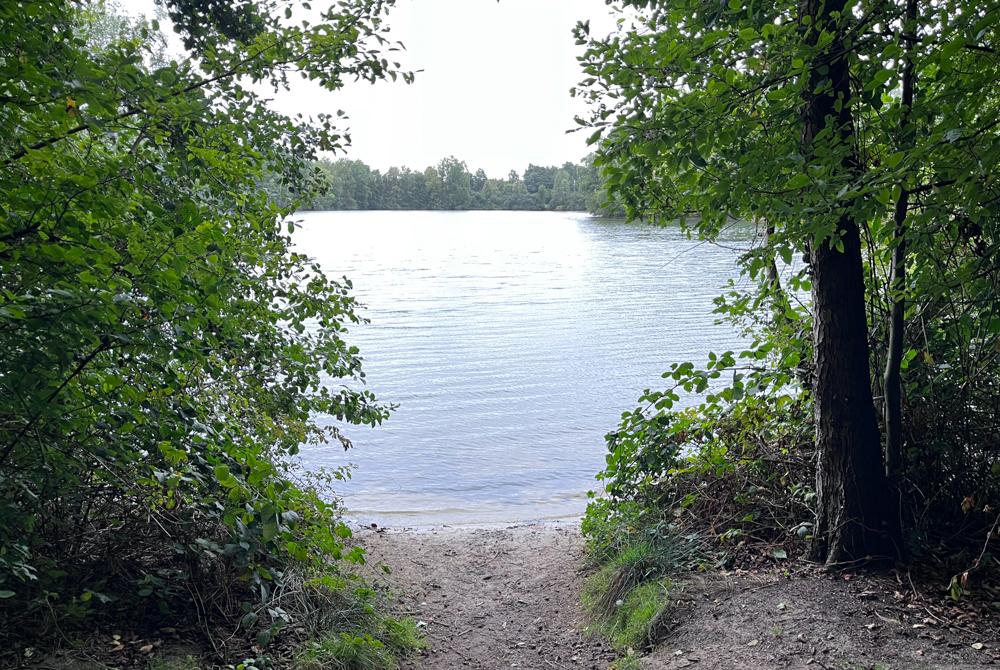 Villapark Eureka natuur