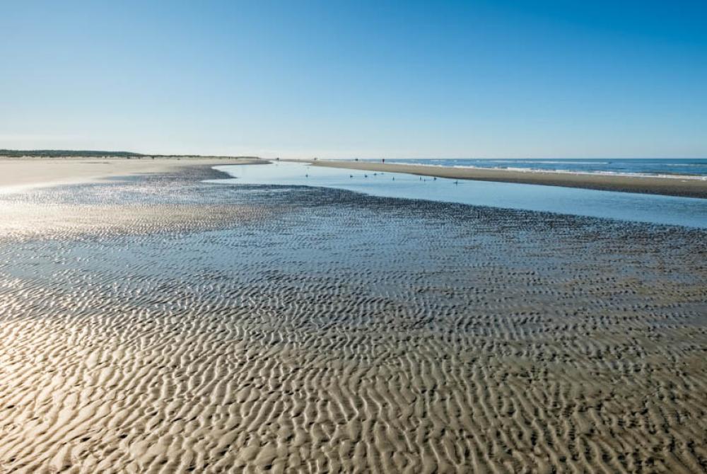 Het kilometers lange zandstand van Schiermonnikoog 