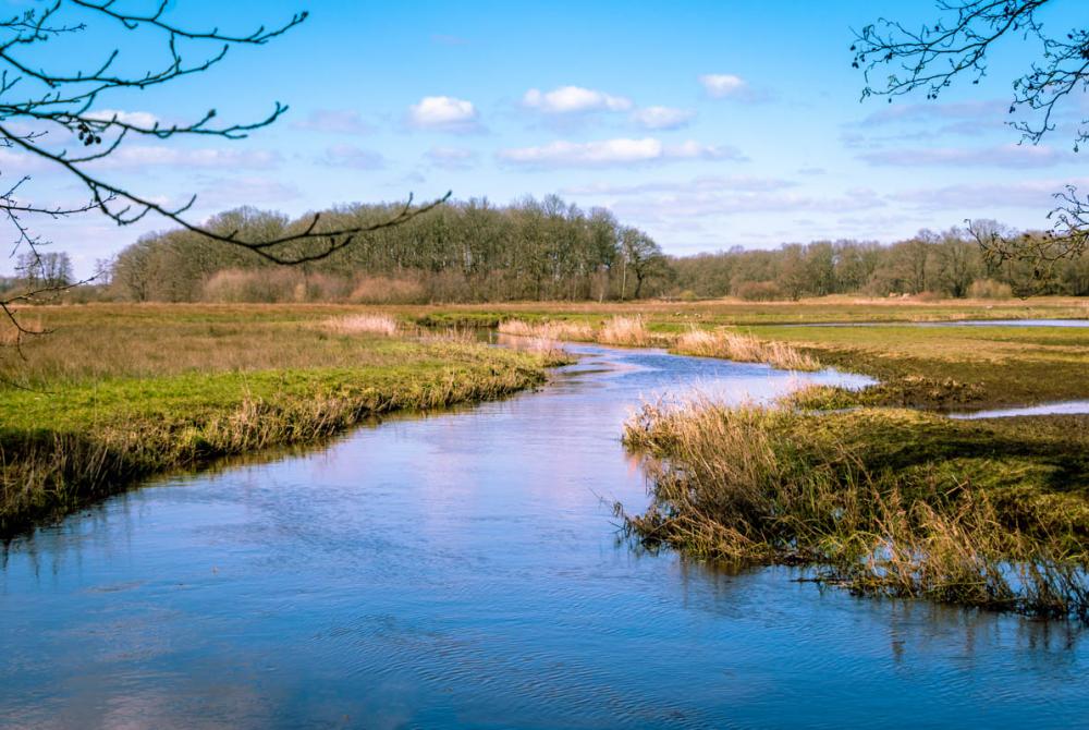 De Drenstche Aa kronkeld een weg door het Drentse landschap