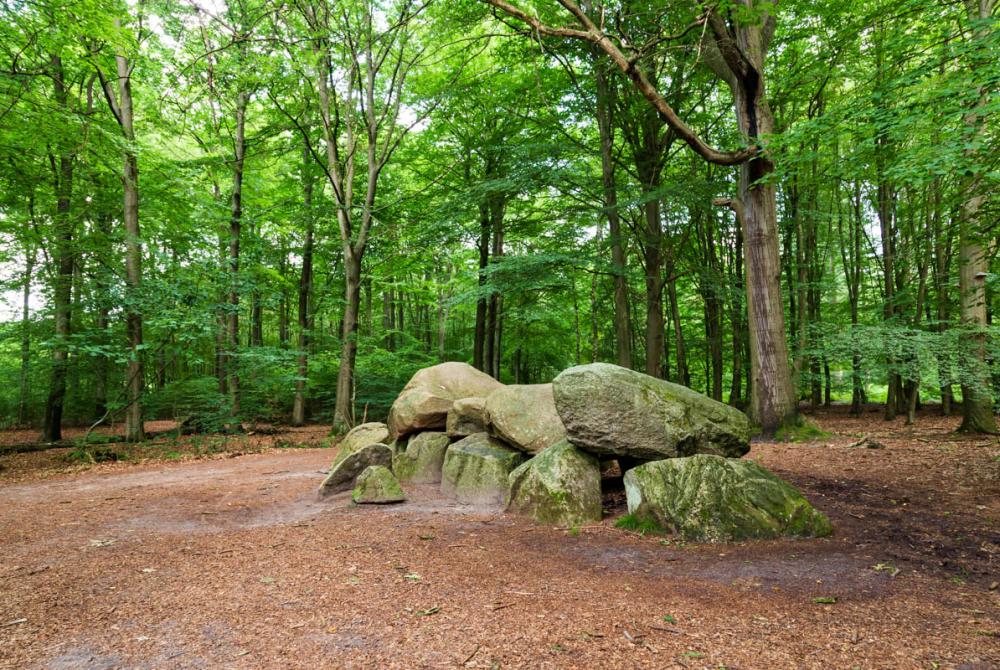 Eén van de vele hunebedden in Drenthe