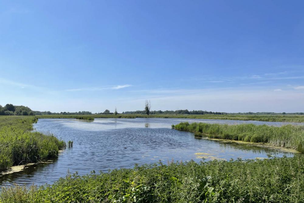 Tip: huur een bootje om de talloze waterwegen te ontdekken!