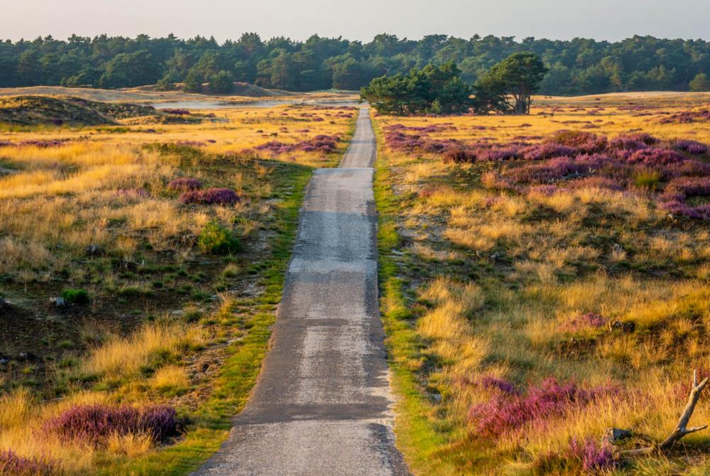 Eén van de prachtige fietsroutes van het Nationaal Park De Hoge Veluwe 