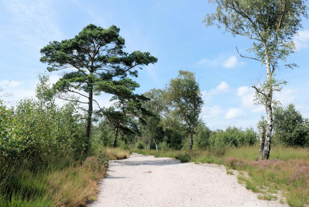 In het nationaal park kun je talloze wandelroutes vinden