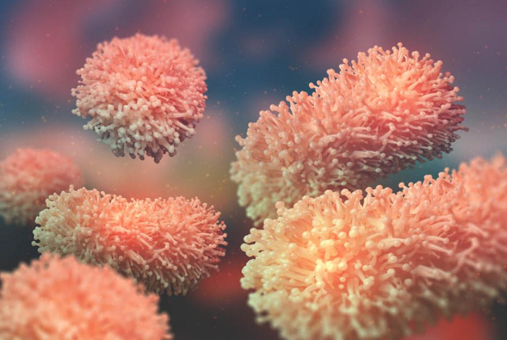 Het unieke Micropia leert ons hoe belangrijk microben voor ons zijn