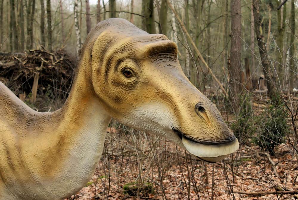 Durf jij een kijkje bij de dino's te nemen?