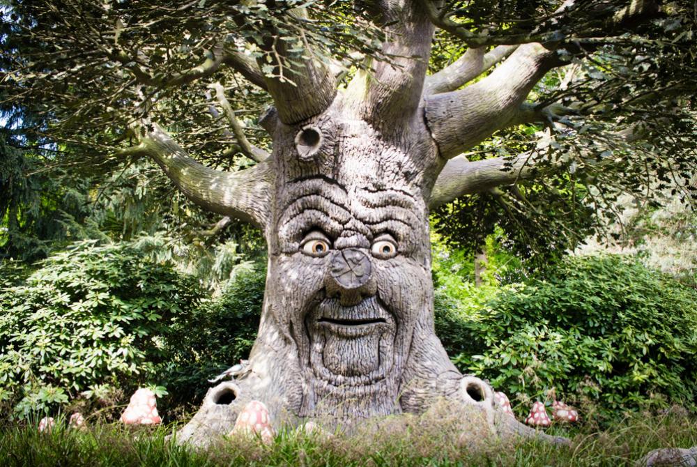 De Sprookjesboom 