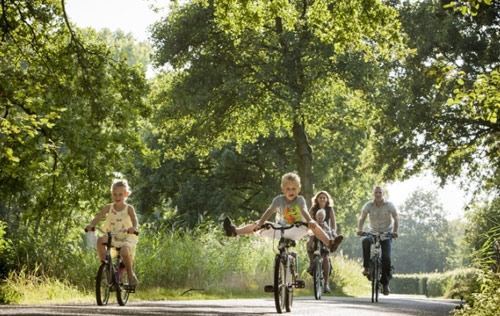 Vakantieparken Bosrijk
