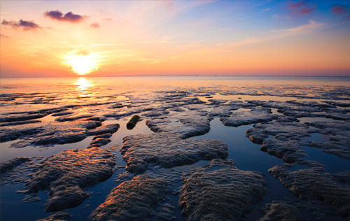 Vakantieparken Wadden