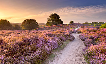 Nationale parken in Nederland